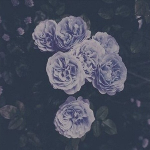 波斯丰满性XXXXHD
